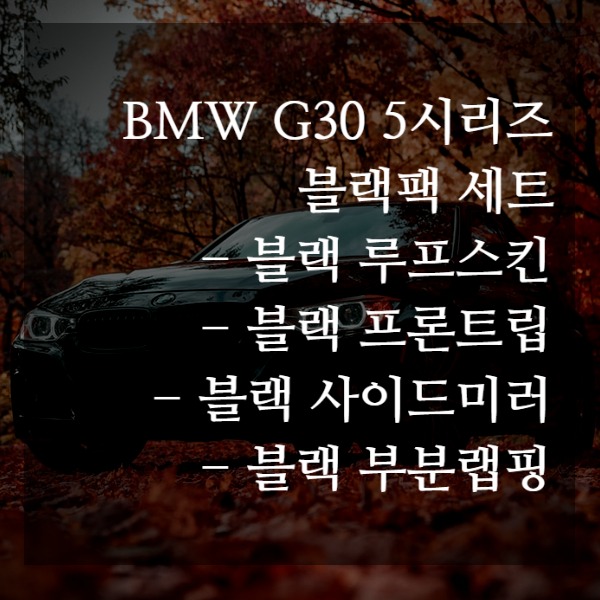 [체크아웃] BMW G30 5시리즈 전용 블랙팩 세트 ( 프론트립 + 루프스킨 + 사이드미러 + 부분랩핑)