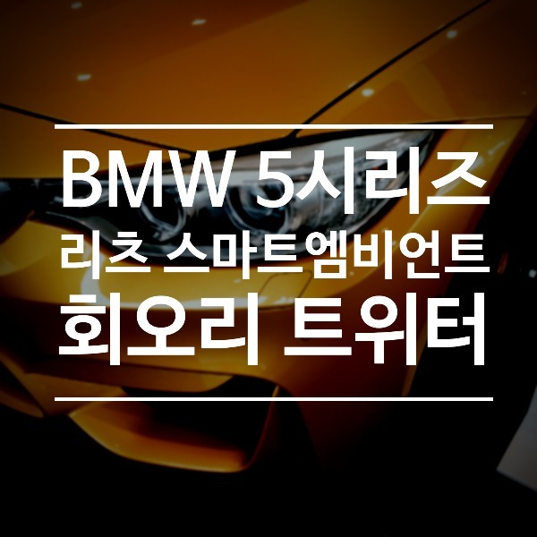 [체크아웃] BMW F10 5시리즈 전용 회오리 엠비언트 트위터 + 리츠 스마트 엠비언트 시공