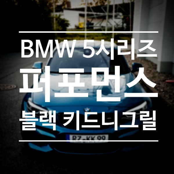 [체크아웃] BMW G30 5시리즈 전용 퍼포먼스 블랙 키드니그릴 시공