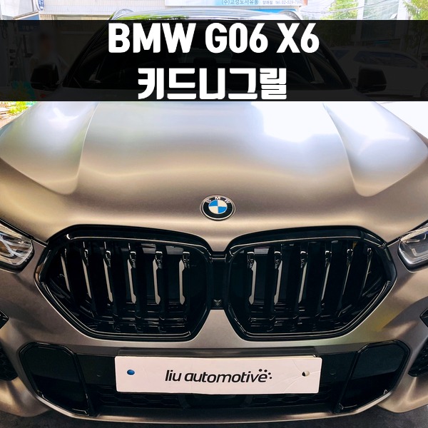 [체크아웃] BMW G06 X6 키드니그릴